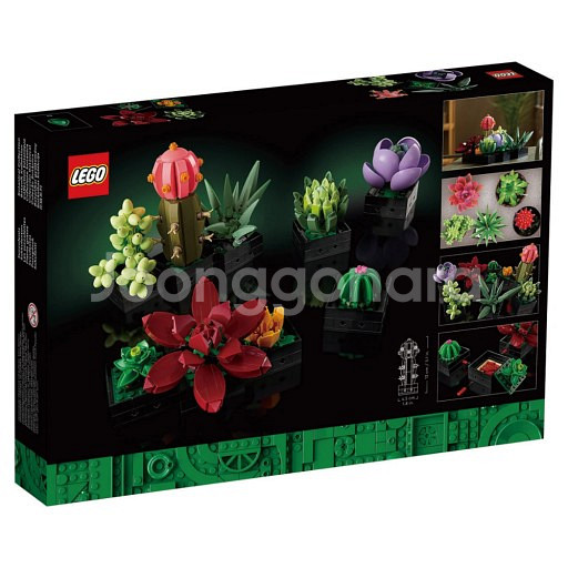 레고 10309 다육 식물--1