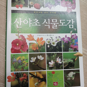 산야초 식물도감