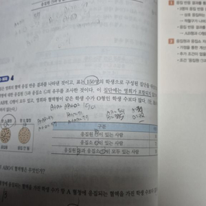 백호 상크스