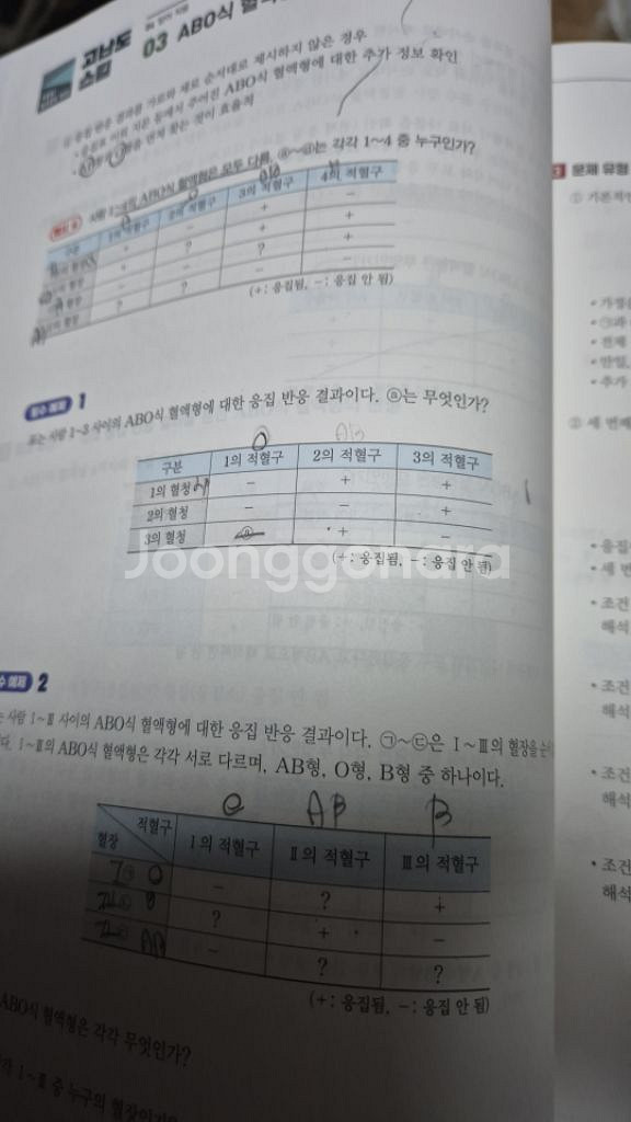 백호 상크스--1