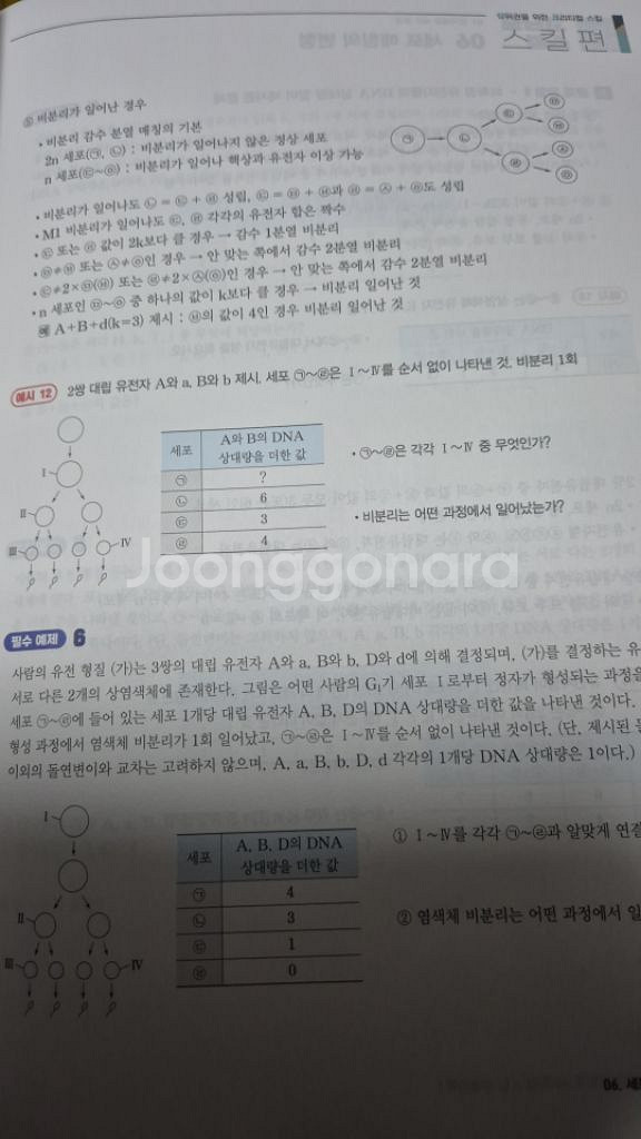 백호 상크스--3