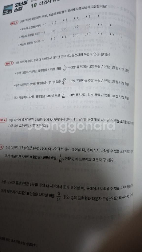 백호 상크스--5