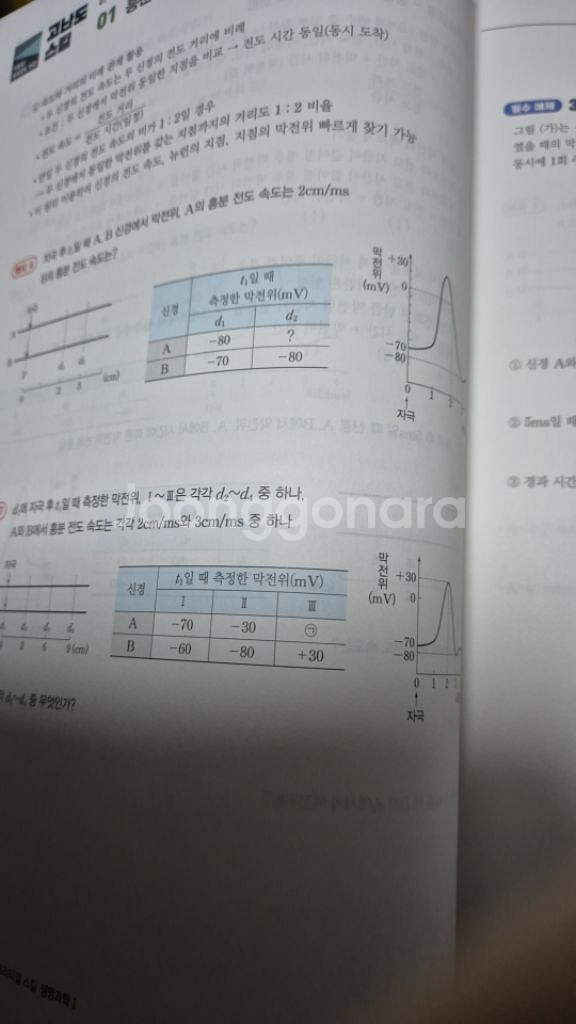 백호 상크스--7