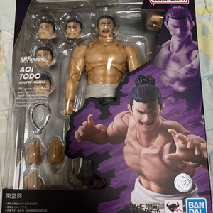 shf 토도 아오이