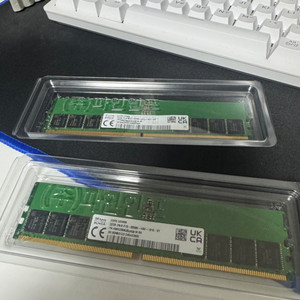 ddr5 5600 하이닉스 a다이 언락 시금치 32기가