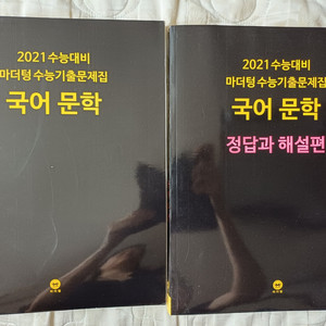 새상품 2021 마더텅 문학