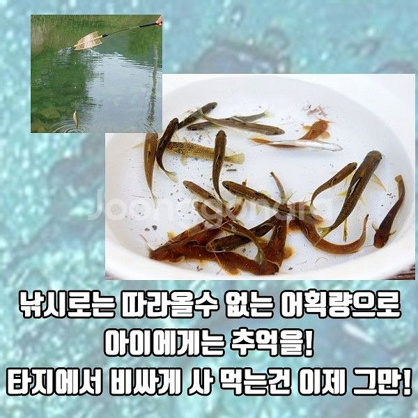 통발세트 낚시 어망 6구세트--4