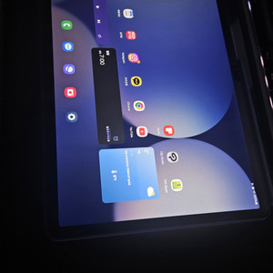 갤럭시탭 s10+ 256gb wifi