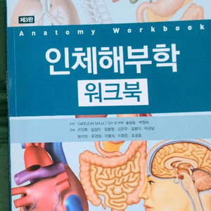 의학교육 인체해부학 워크북 삽니다