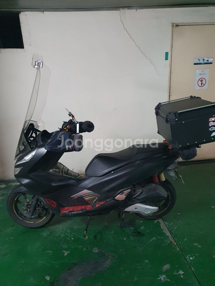 pcx125 20년식--1