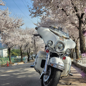 할리데이비슨 울트라클래식 팔아요