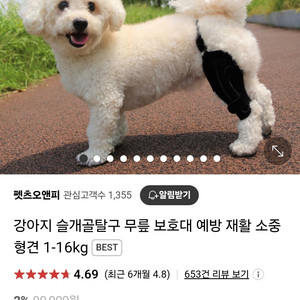 펫츠오앤피 슬개골보조기