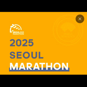 동아마라톤 동마 10K