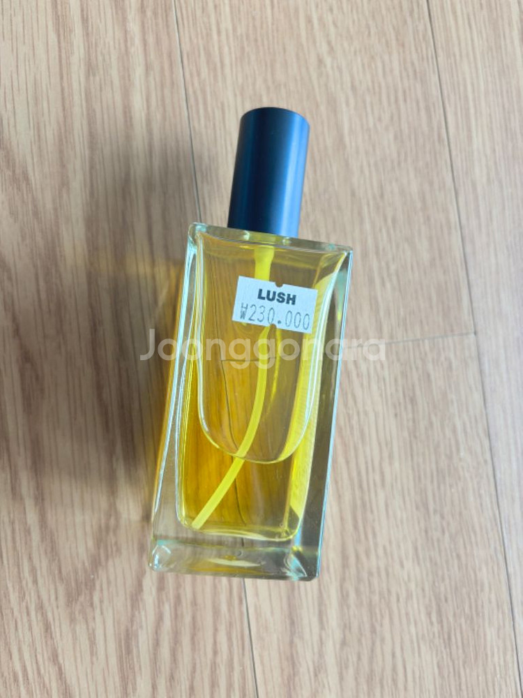 러쉬 비센트 향수 100ml--1