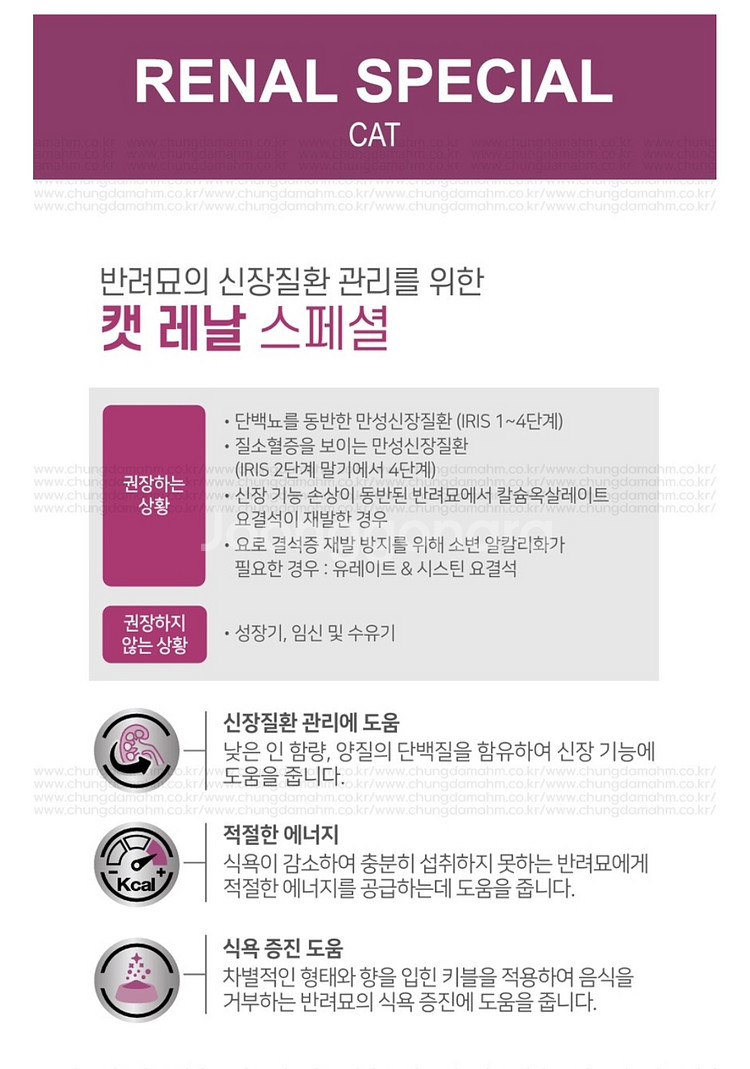로얄캐닌 캣 레날 스페셜 2kg--3