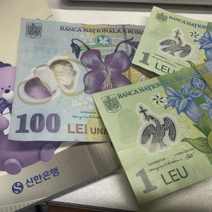 루마니아 화폐 레우