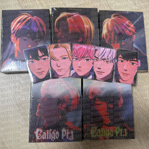 플레이브 뱅가드 세트 원가 이하 양도(예24 미공포O)