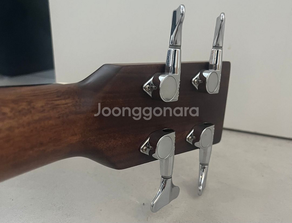 어쿠스틱 베이스 시그마 sigma BMC-15E+--4