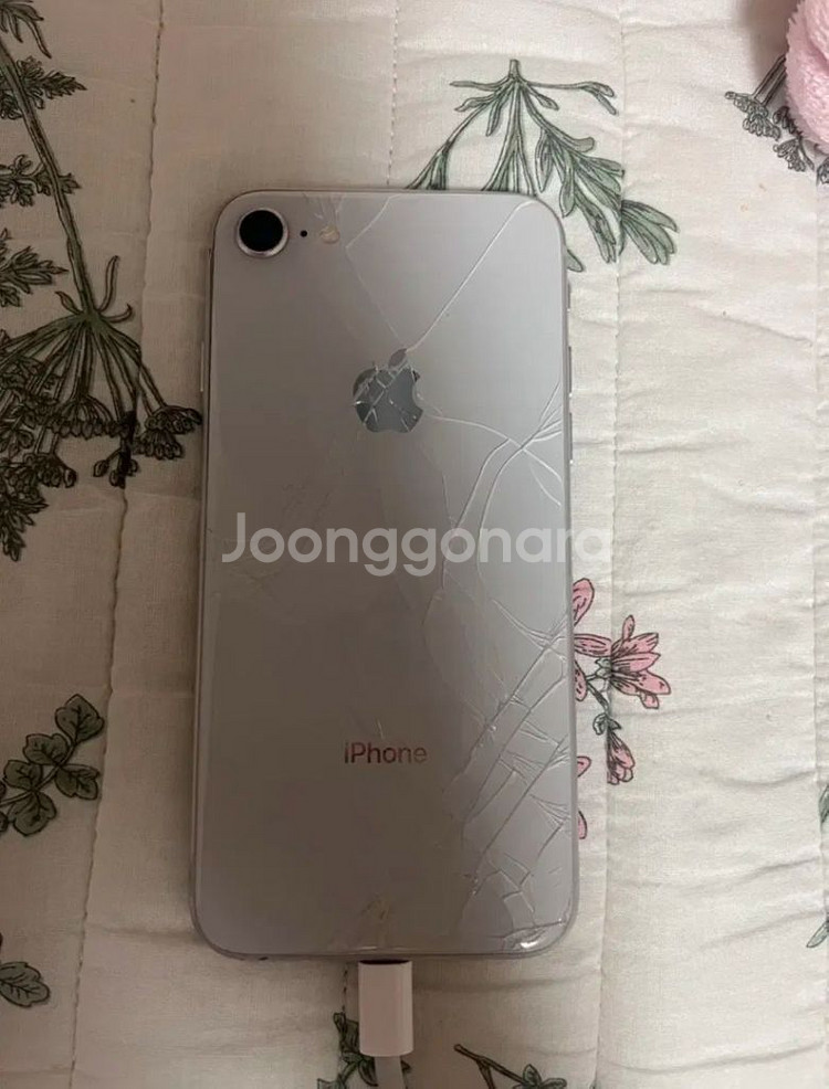 아이폰 8 256gb 사진용!--6