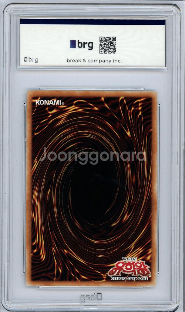 유희왕 카드 쿼싴 마돌체 푸팅 체스트 brg 9--1