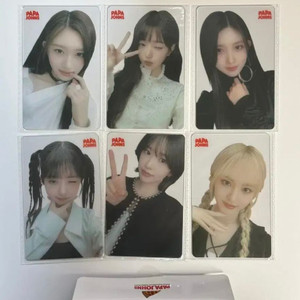 아이브 파파존스 포카 4차