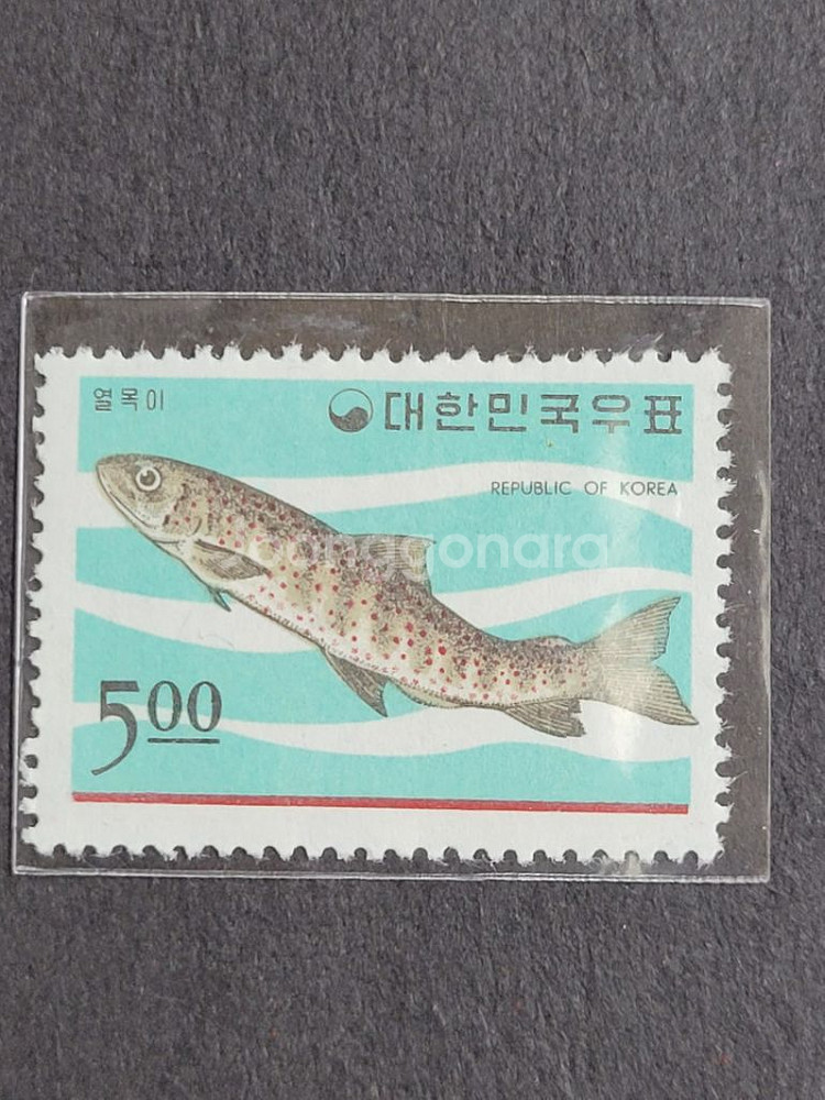 1966년 동물시리즈 제2집 우표 3종명태 열목어 참조--1