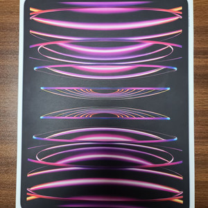 아이패드 프로 12.9인치 6세대 256GB 팝니다.