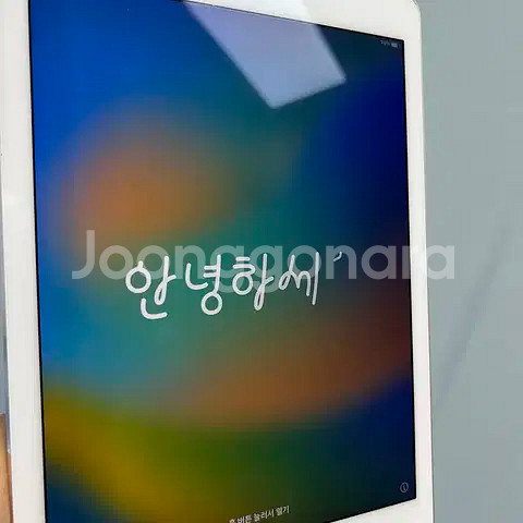 아이패드 프로9.7(홍콩판)셀룰러+와이파이 256G 골--1