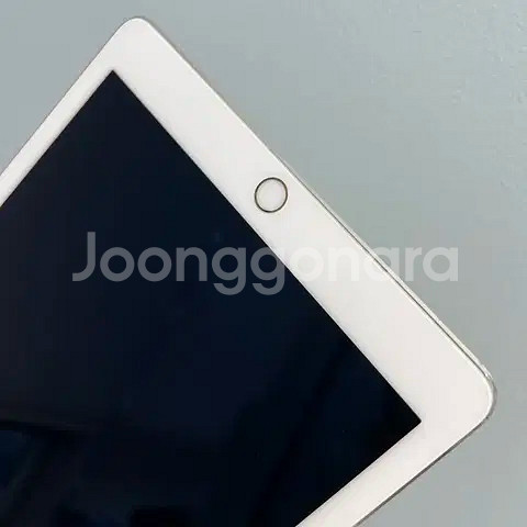 아이패드 프로9.7(홍콩판)셀룰러+와이파이 256G 골--7