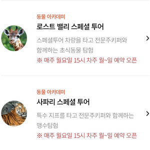 에버랜드 사파리스페셜투어/로스트밸리스페셜투어 3월