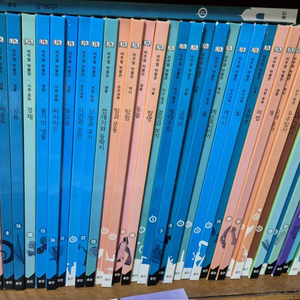 DK비주얼박물관 80권