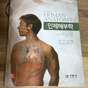 인체해부학 수문사 이혜연 (정가 5만)