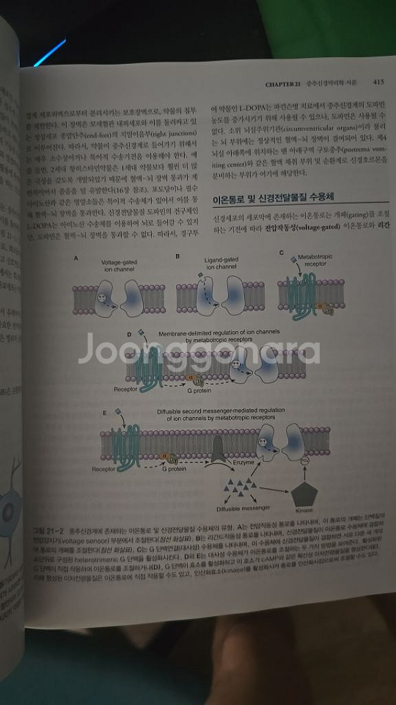 약물학 약리학 14판--1