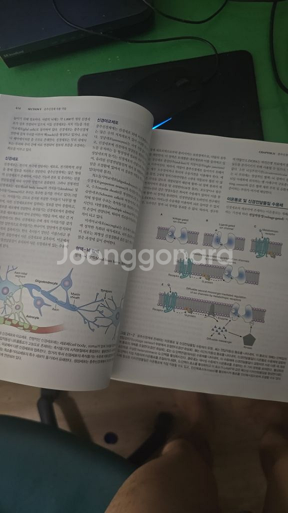 약물학 약리학 14판--2