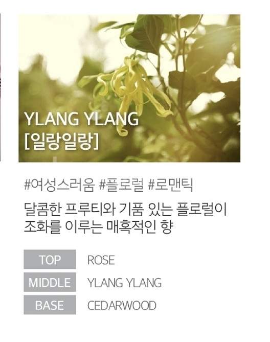 (새상품)쿤달 퍼퓸 룸 앤 패브릭 섬유탈취제--3