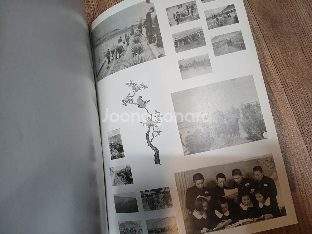 대구 경서중학교 제5회 1977학년도 졸업기념 앨범--5