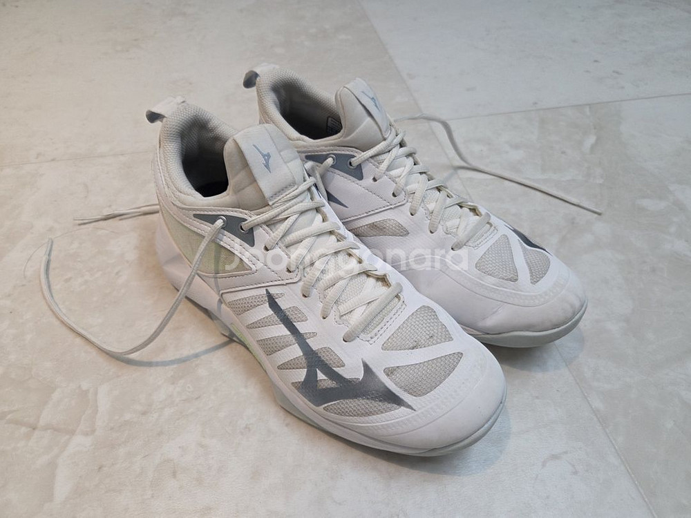 미즈노 모멘텀 2.0 255--2