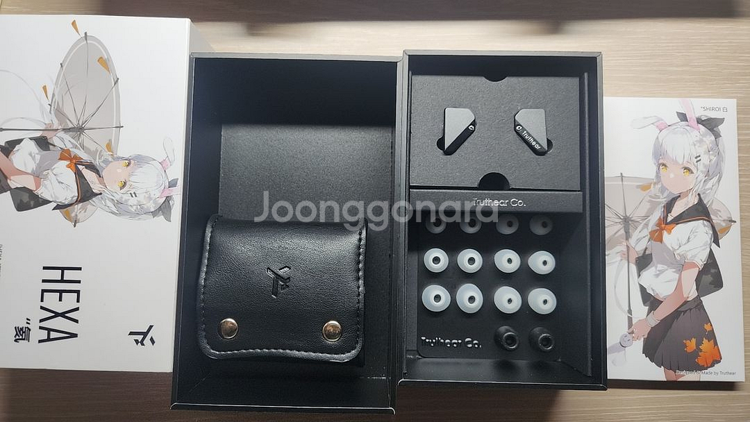 유선이어폰 일괄(트루스이어 헥사, 키위 쿼텟, 돌체)--1