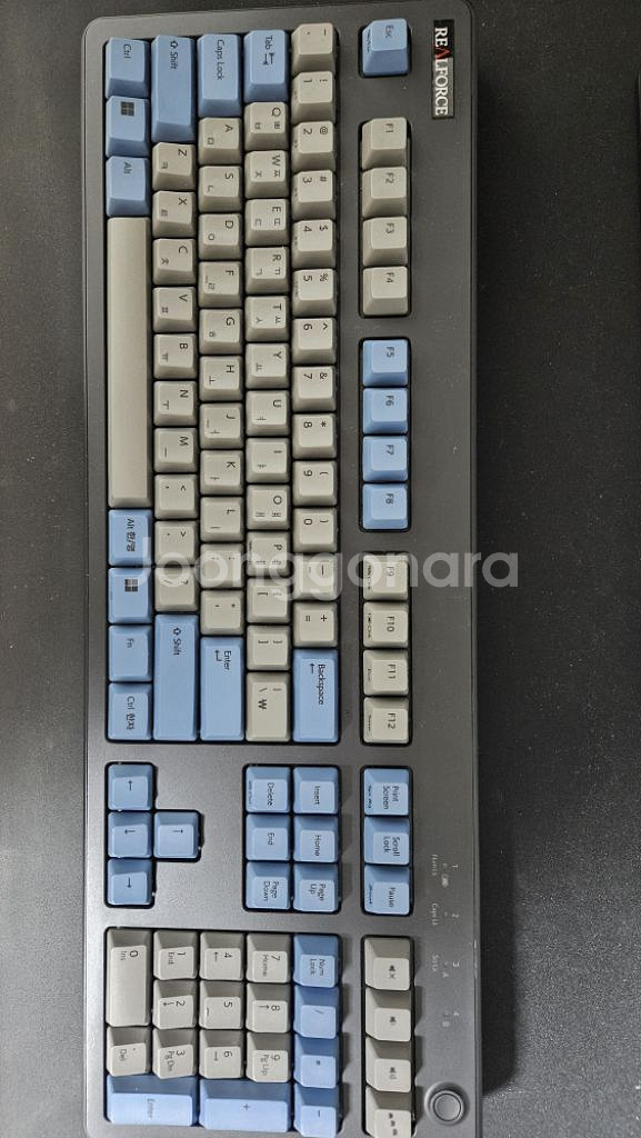 리얼포스R3 BT45g 풀윤활--1