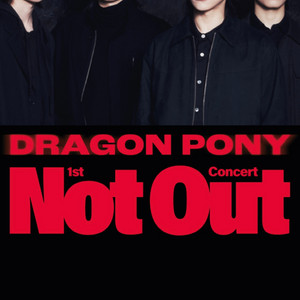 Dragon Pony (드래곤포니) 콘서트 양도