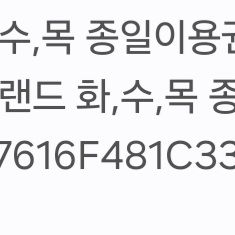 에버랜드 종일권 2매