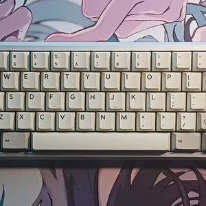 frog mini 상미니 hhkb