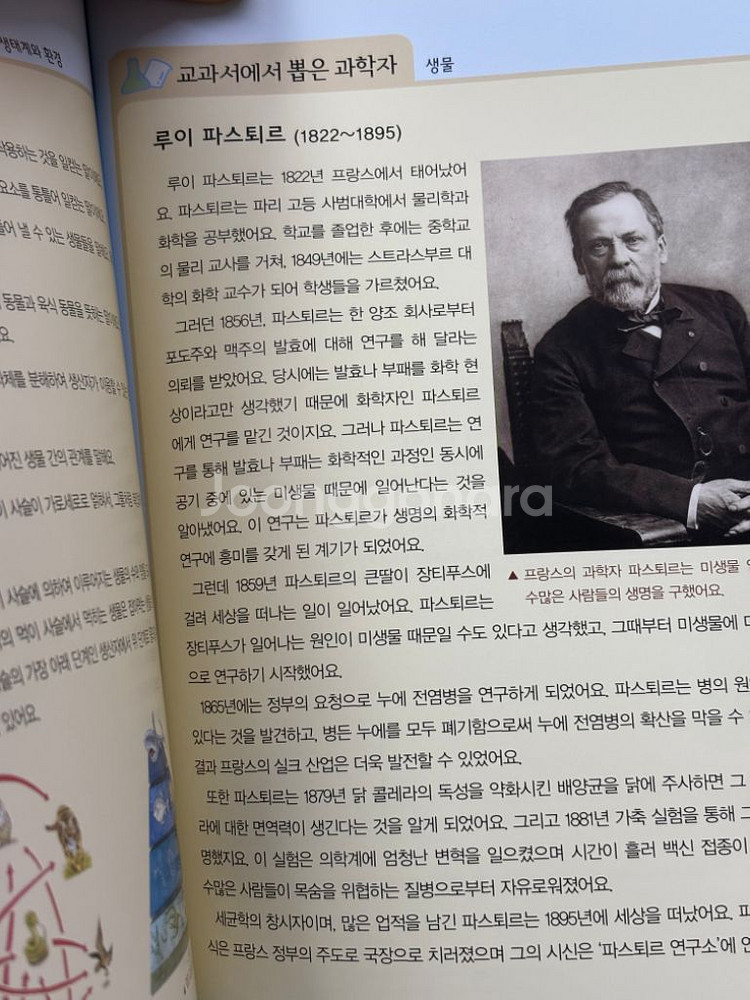 교원ALL STORY초등필독서 컬렉션 과학 10권--2