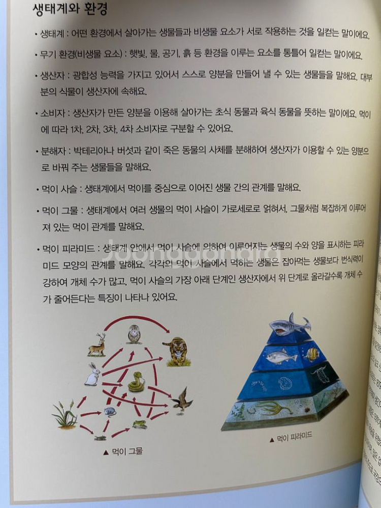 교원ALL STORY초등필독서 컬렉션 과학 10권--3