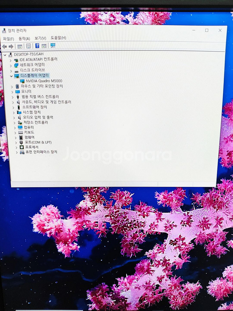 엔비디아 쿼드로 M5000 판매합니다--6