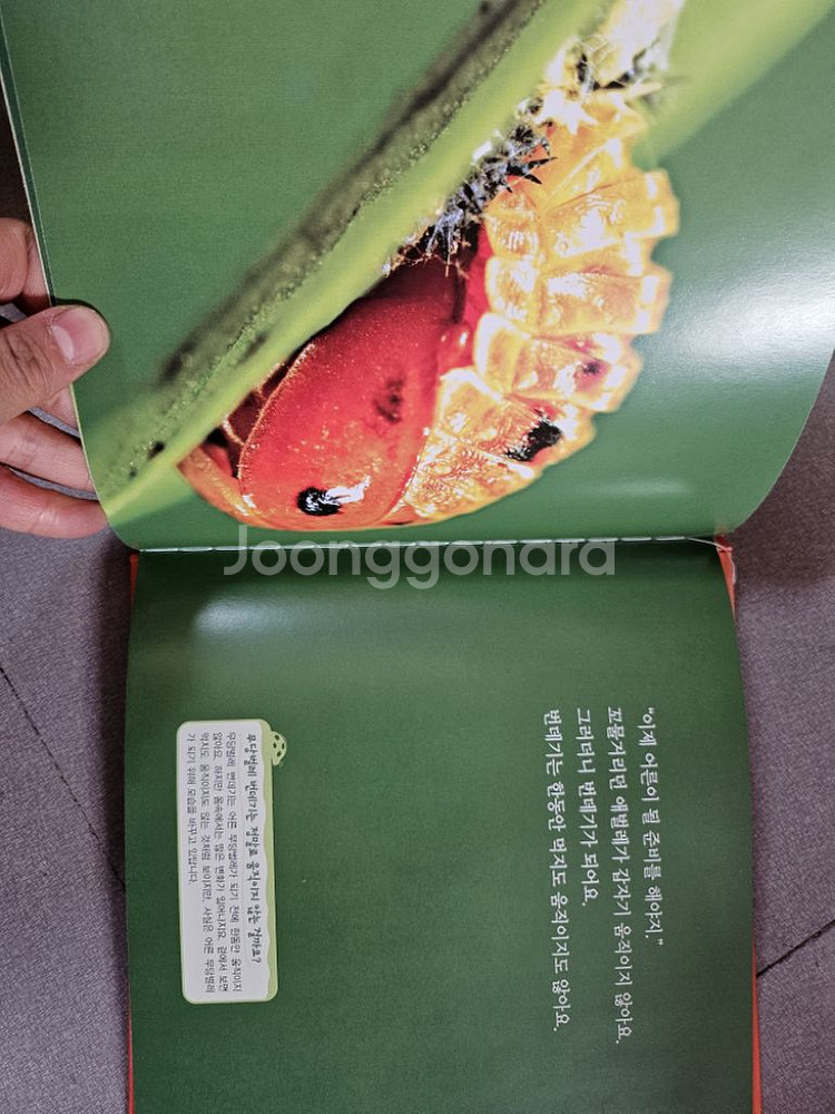 글뿌리 호기심오감 자연관찰 79권--4