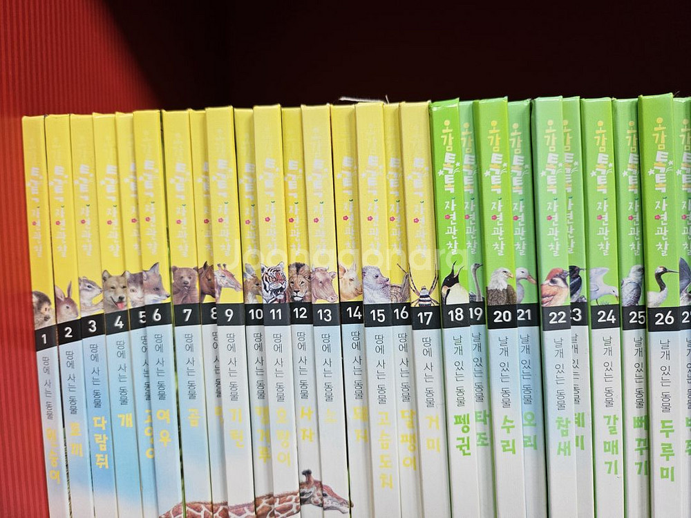 글뿌리 호기심오감 자연관찰 79권--1