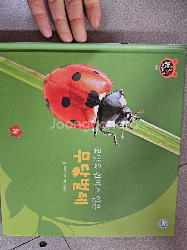 글뿌리 호기심오감 자연관찰 79권--3