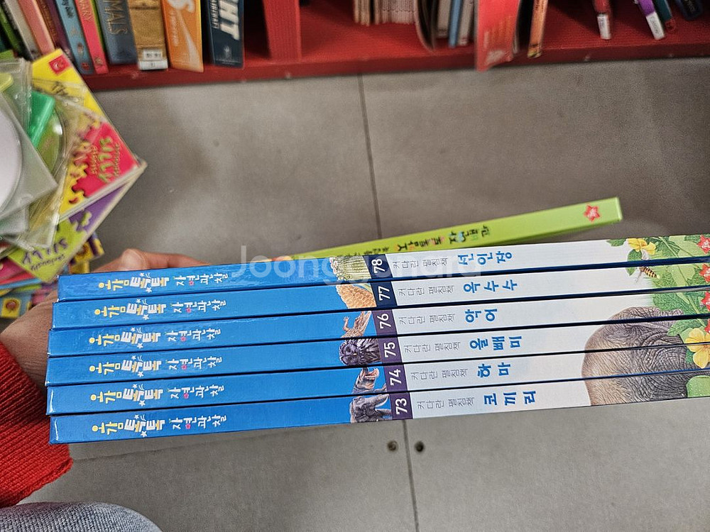 글뿌리 호기심오감 자연관찰 79권--2