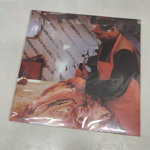 이민휘 - 빌린 입 (Vinyl) 이미지